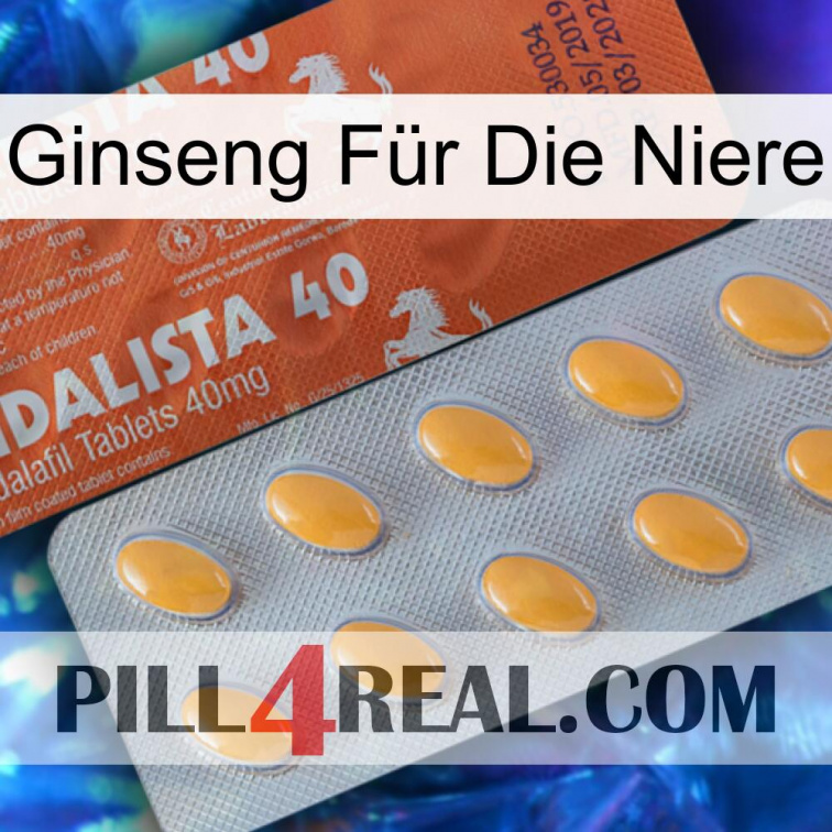 Ginseng Für Die Niere 43